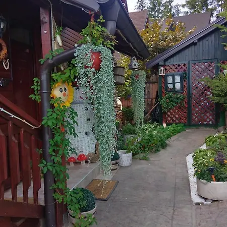 Vila Zorka Nova Varos