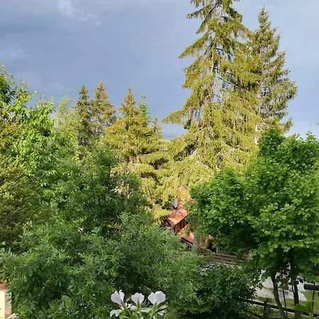 Vila Zorka Nova Varos
