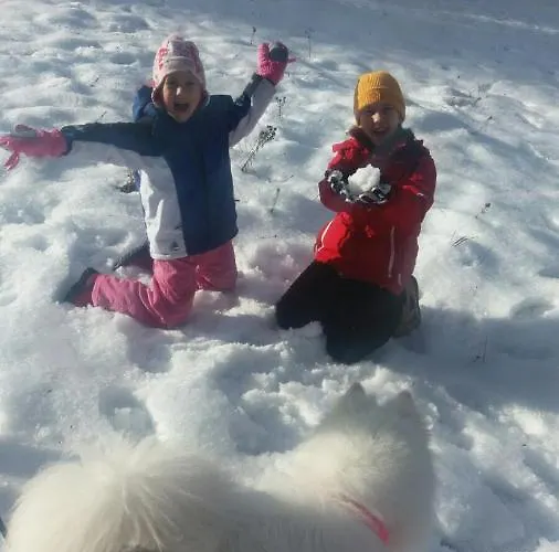 Διαμέρισμα Zorka Nova Varoš