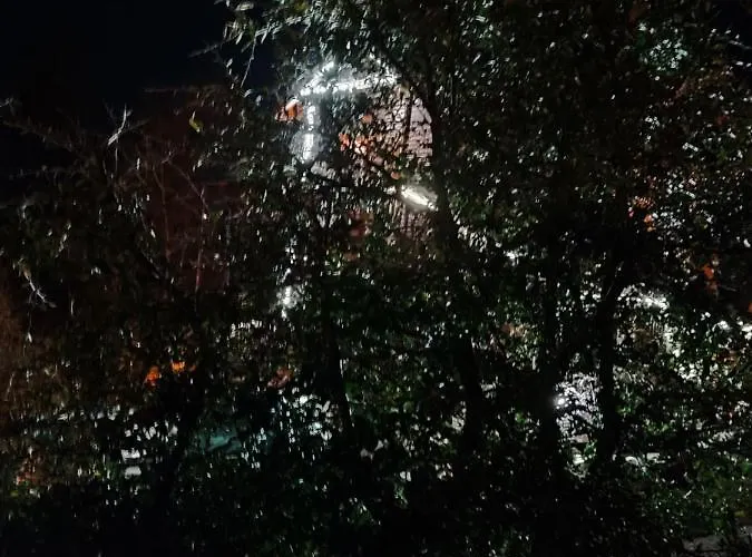 Διαμέρισμα Zorka *